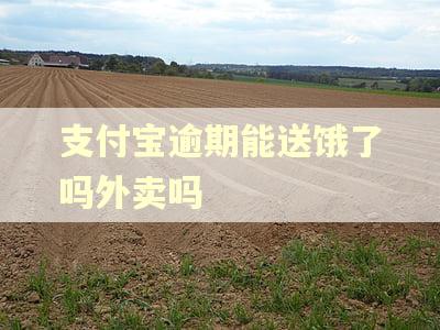 支付宝逾期能送饿了吗外卖吗