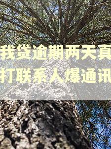 你我贷逾期两天真的会打联系人爆通讯录吗