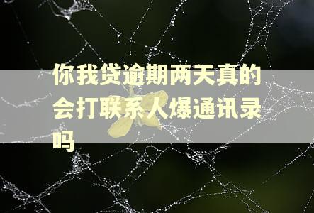 你我贷逾期两天真的会打联系人爆通讯录吗 你我贷逾期两天真的会打联系人爆通讯录吗
