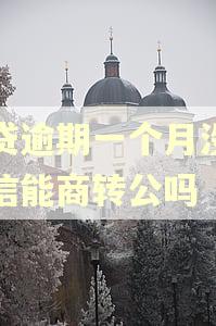 房贷逾期一个月没上征信能商转公吗 房贷逾期一个月没上征信能商转公吗