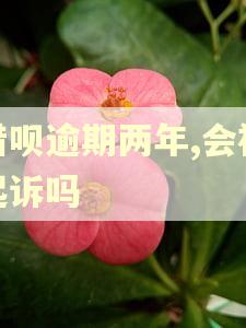 借呗逾期两年,会被起诉吗