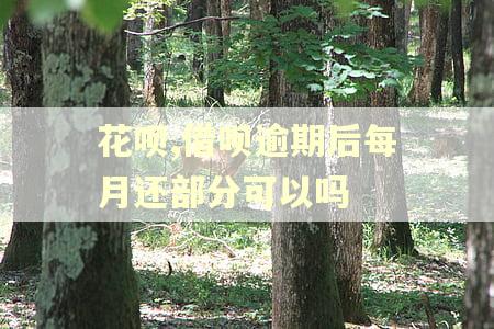 花呗,借呗逾期后每月还部分可以吗