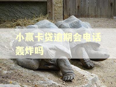 小赢卡贷逾期会电话轰炸吗 小赢卡贷逾期会电话轰炸吗