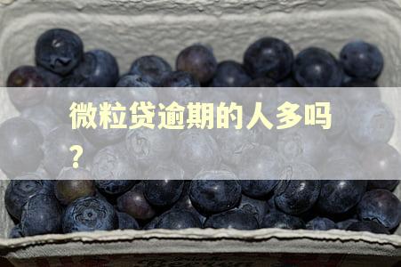 微粒贷逾期的人多吗?