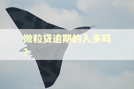 微粒贷逾期的人多吗?
