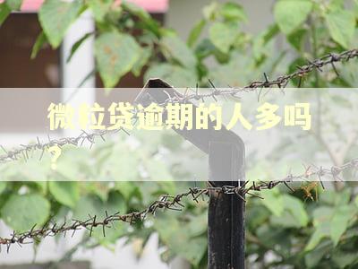 微粒贷逾期的人多吗? 微粒贷逾期的人多吗?