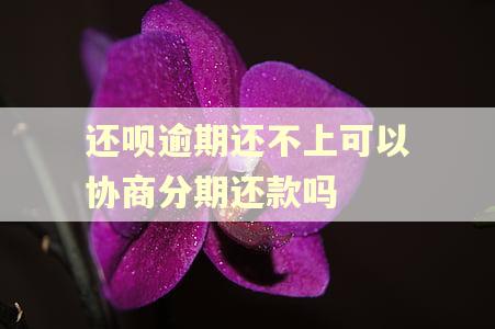 还呗逾期还不上可以协商分期还款吗