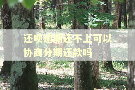 还呗逾期还不上可以协商分期还款吗 还呗逾期还不上可以协商分期还款吗
