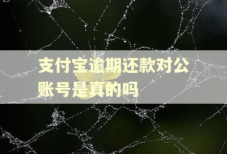 支付宝逾期还款对公账号是真的吗
