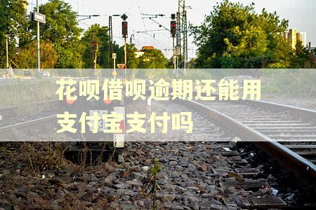花呗借呗逾期还能用支付宝支付吗