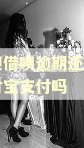 花呗借呗逾期还能用支付宝支付吗