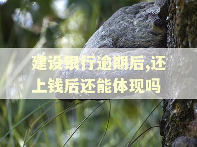 建设银行逾期后,还上钱后还能体现吗