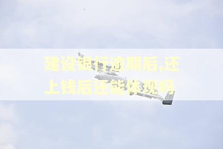 建设银行逾期后,还上钱后还能体现吗