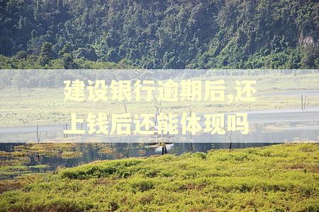 建设银行逾期后,还上钱后还能体现吗