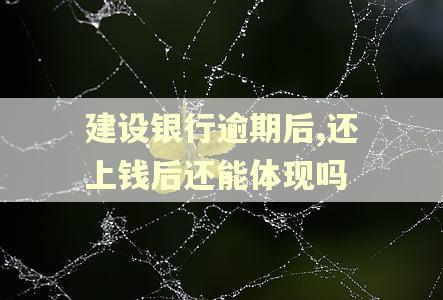 建设银行逾期后,还上钱后还能体现吗 建设银行逾期后,还上钱后还能体现吗