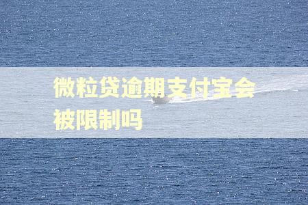 微粒贷逾期支付宝会被限制吗
