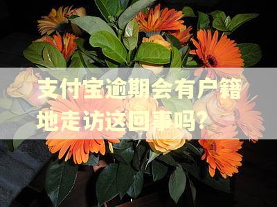 支付宝逾期会有户籍地走访这回事吗?