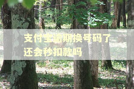 支付宝逾期换号码了还会秒扣款吗 支付宝逾期换号码了还会秒扣款吗