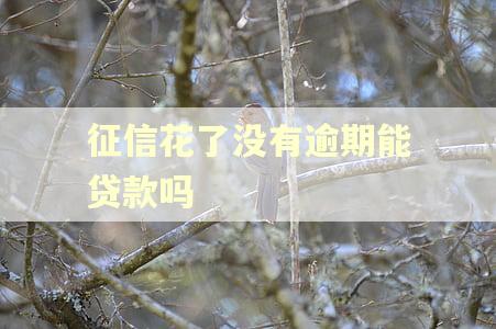征信花了没有逾期能贷款吗