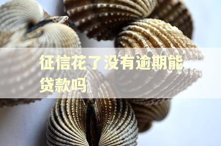征信花了没有逾期能贷款吗