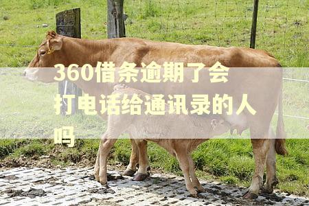 360借条逾期了会打电话给通讯录的人吗