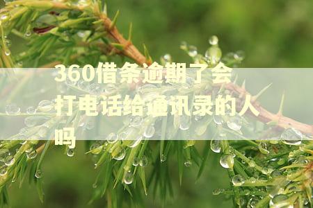 360借条逾期了会打电话给通讯录的人吗