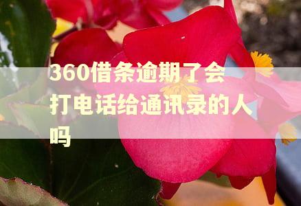 360借条逾期了会打电话给通讯录的人吗