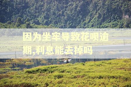 因为坐牢导致花呗逾期,利息能去掉吗
