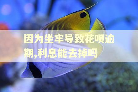 因为坐牢导致花呗逾期,利息能去掉吗