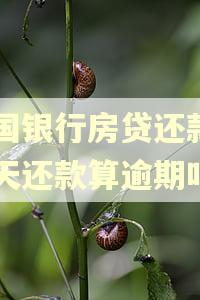 中国银行房贷还款日当天还款算逾期吗