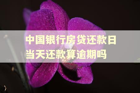 中国银行房贷还款日当天还款算逾期吗 中国银行房贷还款日当天还款算逾期吗