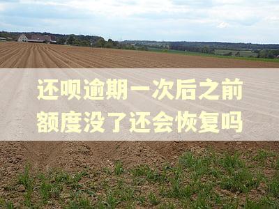 还呗逾期一次后之前额度没了还会恢复吗