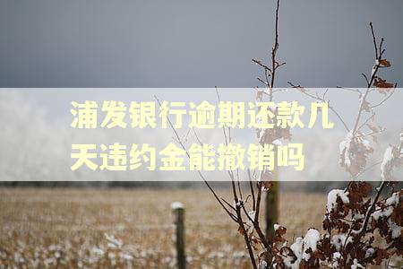 浦发银行逾期还款几天违约金能撤销吗
