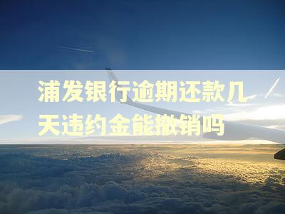 浦发银行逾期还款几天违约金能撤销吗