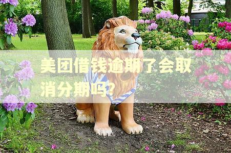 美团借钱逾期了会取消分期吗？