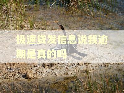 极速贷发信息说我逾期是真的吗