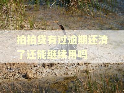 拍拍贷有过逾期还清了还能继续用吗