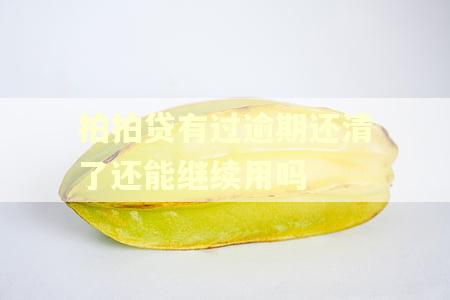 拍拍贷有过逾期还清了还能继续用吗