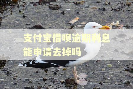 支付宝借呗逾期利息能申请去掉吗