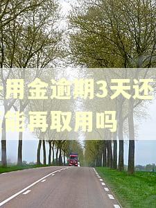 备用金逾期3天还了还能再取用吗