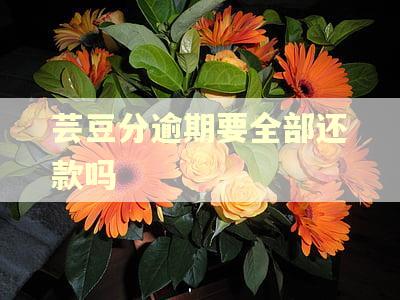 芸豆分逾期要全部还款吗