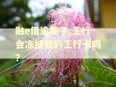 融e借逾期了,工行会冻结我的工行卡吗?