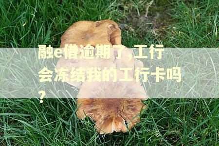 融e借逾期了,工行会冻结我的工行卡吗?