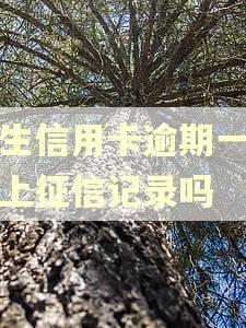 民生信用卡逾期一天会上征信记录吗