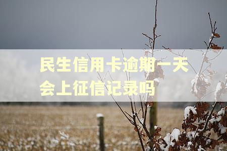 民生信用卡逾期一天会上征信记录吗