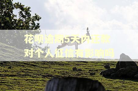 花呗逾期5天内还款对个人征信有影响吗 花呗逾期5天内还款对个人征信有影响吗