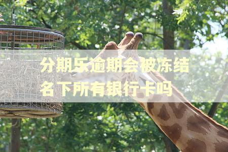 分期乐逾期会被冻结名下所有银行卡吗