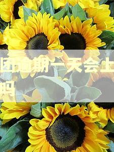 美团逾期一天会上征信吗