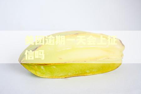 美团逾期一天会上征信吗