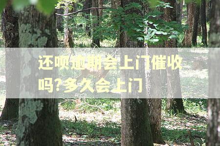 还呗逾期会上门催收吗?多久会上门